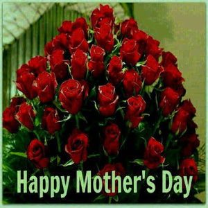 Meet your Posher, Angelina